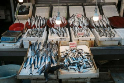 Av yasağı geldi, tezgahlar  boşaldı, fiyatlar arttı