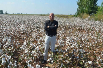 Neden pamuk ithal ediyoruz?