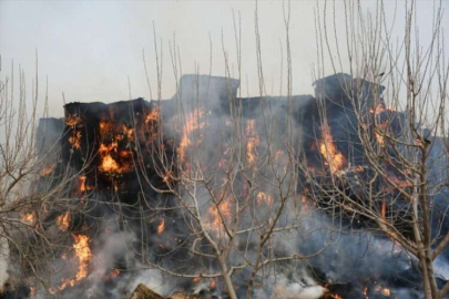 Kahramanmaraş'ta çiftlikte çıkan yangında sera ve saman balyaları yandı