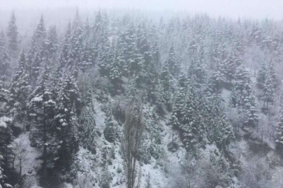 Adana’nın yüksek kesimlerinde kar yağışı etkili oldu