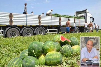 İncefikir; “Karpuz  üreticisini korumalıyız”
