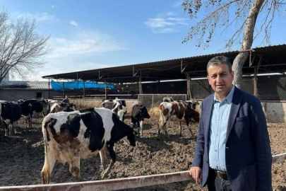 “Yem pahalı hayvanlar aç kalıyor”