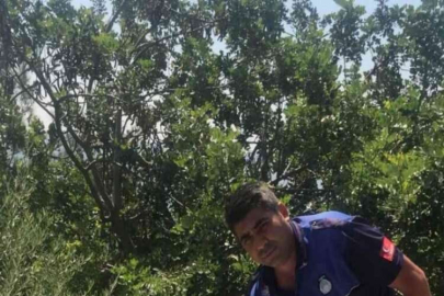 Kozan Kalesi’nde izinsiz harnup toplayanlar güvenliğe yakalandı