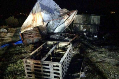 Adana’da depo yangını: 40 güvercin telef oldu