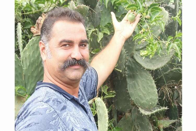 Mesleğini bırakıp, tropikal meyve fidanı üretmeye başladı