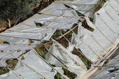 Alanya'da sağanak ve dolu bazı seralara zarar verdi
