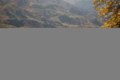 Dacia'nın 7 kişilik modeli Jogger, Türkiye'de satışa sunuluyor