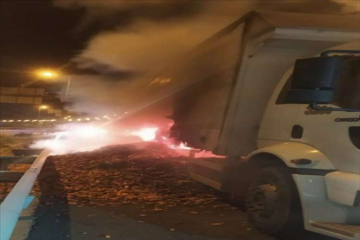 Mersin'de havuç yüklü tırda çıkan yangın söndürüldü
