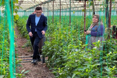 Milletvekili Uslu, Kumluca'da selden zarar gören çiftçileri ziyaret etti