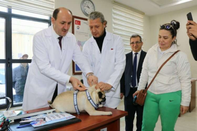 Adana'da 15 bin ev hayvanı kimliklendirilerek kayıt altına alındı