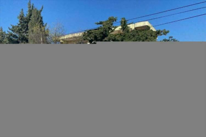 Hatay'da sahipsiz köpeği tüfekle yaralayan şüpheli yakalandı