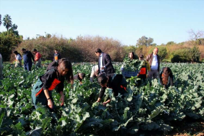 Mersin'de öğrencilerin yetiştirdiği sebzeler hasat edildi
