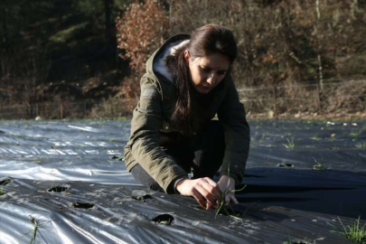 Doktora öğrencisi genç kız, devlet desteğiyle kapama meyve bahçesi kurdu