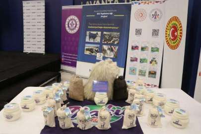 Burdur'da üniversite tarafından keçi sütünden üretilen tulum peyniri tanıtıldı