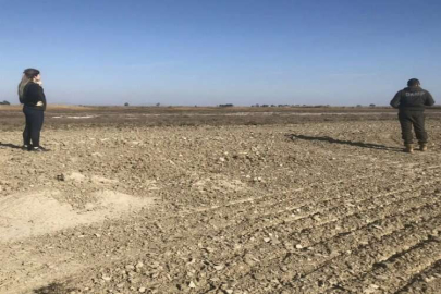 Adana'da yaban hayatı geliştirme sahasında ekosistemi tahrip edene 244 bin 315 lira ceza