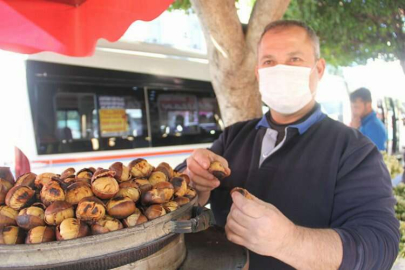 Çin kestanesine dikkat!