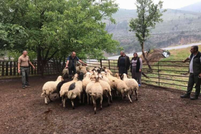 Tarsus'ta orman köylülerinin desteklenmesine devam ediliyor