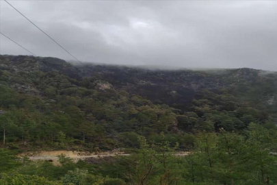Alanya'daki orman yangını kontrol altına alındı
