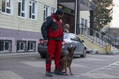 PAK bünyesindeki 4 arama kurtarma köpeği 74 kişinin kurtarılmasını sağladı