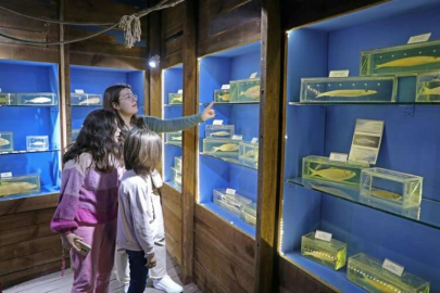 Antalya Deniz Biyoloji Müzesi'ndeki balıklar yenilenecek