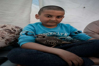 Çadıra yerleşen depremzede aile, kekliklerini de unutmadı