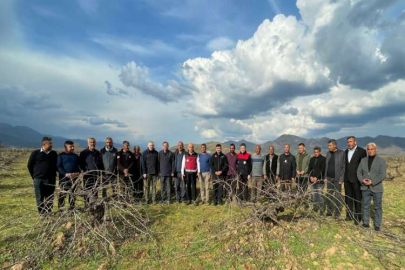 Bakan Kirişci, Hatay'da bağ budaması yapan çiftçilerle bir araya geldi: