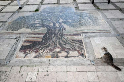 Hatay'daki Zeytin ve Zeytinyağı Müzesinin 300 yıllık binası da depremlerde hasar gördü