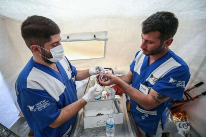 HAYTAP gönüllüleri Hatay'da 1000'den fazla hayvana müdahale etti