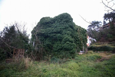 AA muhabiri Milli'nin vefatından önce görüntülediği manastır da depremde hasar gördü