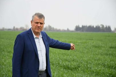 "Hasat zamanı ithalat kararı çiftçiye darbedir"