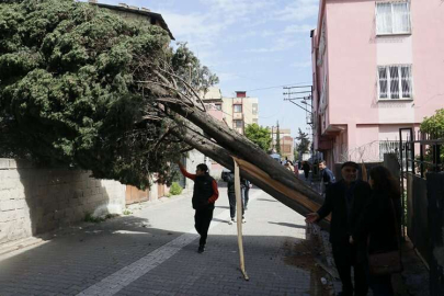 Şiddetli fırtına çatıları uçurdu, ağaçları devirdi, elektrik tellerini kopardı