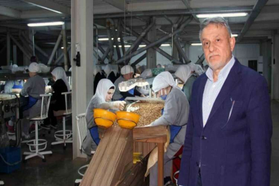 Fındık sezonunda yüksek rekolte bekleniyor