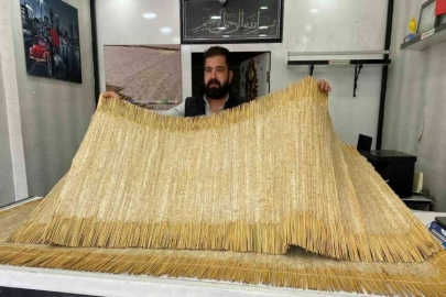 Kahramanmaraş’ta firik sezonu başladı