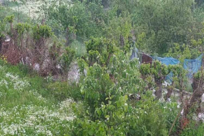Silvan’da sağanak ve dolu yağışı etkili oldu