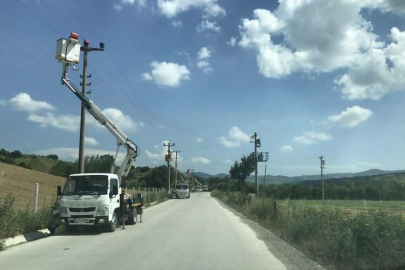 SEDAŞ, leyleklerin güvenli göç yolculuğu için önlemlerini aldı