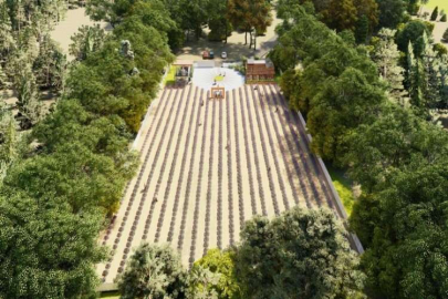 Kaş'ta "Tıbbi Aromatik Bitkiler İşleme ve Değerlendirme Merkezi" kuruluyor