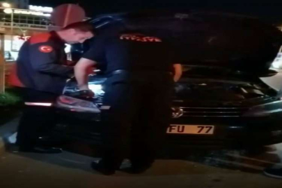 Adana’da otomobilin kaputuna sıkışan yavru kediyi çıkartmak için vatandaşlar seferber oldu.