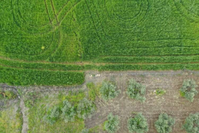Kahramanmaraş'ta tarım alanlarının sulanmasında kullanılan havuz depremde zarar gördü