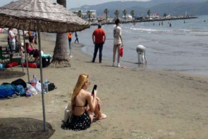 Oyunu kullanan denize akın etti