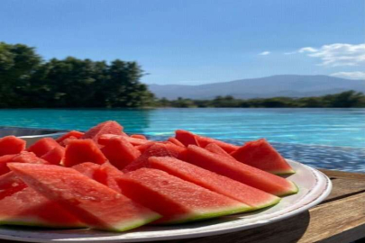 Karpuz ne zaman çıkacak?