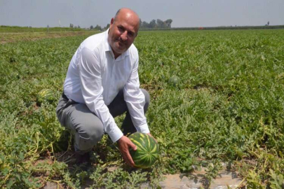 İncefikir; Karpuzda erken hasattan kaçınmalıyız