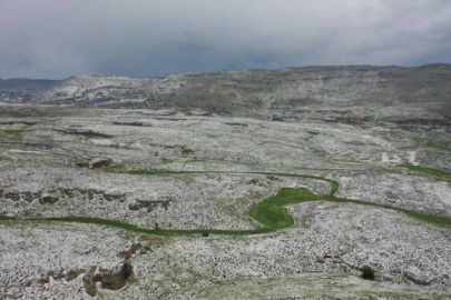 Mersin'de yaylaya yağan kar, arıcıları bal rekoltesi için umutlandırdı