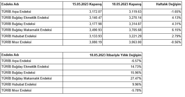 türib-istatistik