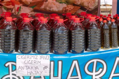 Hatay’dan Seyhan’a ‘Dayanışma Günleri’   