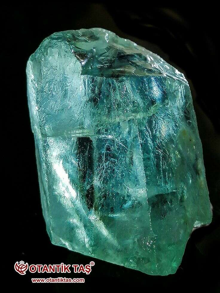 439c1383d7e644c47f794ed92674c7bd