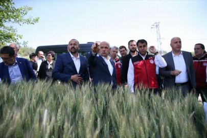 Bakan Kirişci 21 milyon ton buğday rekoltesi beklendiğini açıkladı: