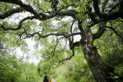 Termessos Antik Kenti tarih ve doğa tutkunlarının uğrak noktası oldu