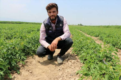 MANİSA - Tarladaki yuvasını korumak isteyen kuşun traktörü durdurduğu anları görüntüledi