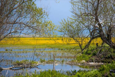 ARDAHAN - Şerefin Dağı ve Üç Tepeler canlanan doğasıyla dağcıların rotasında