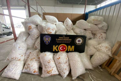 ADANA - Kaçakçılık operasyonunda yakalanan 24 zanlıdan 1'i tutuklandı